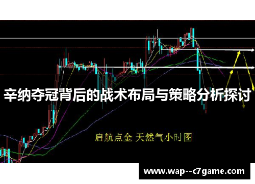 辛纳夺冠背后的战术布局与策略分析探讨